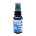 David Wolfe Carbon 60 Skin Spray | Topical Antioxidant Formula davidwolfe001