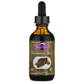 Dragon Herbs Eucommia Bark | Yang Jing Tonic for Back & Bone Strength Wild Fire House