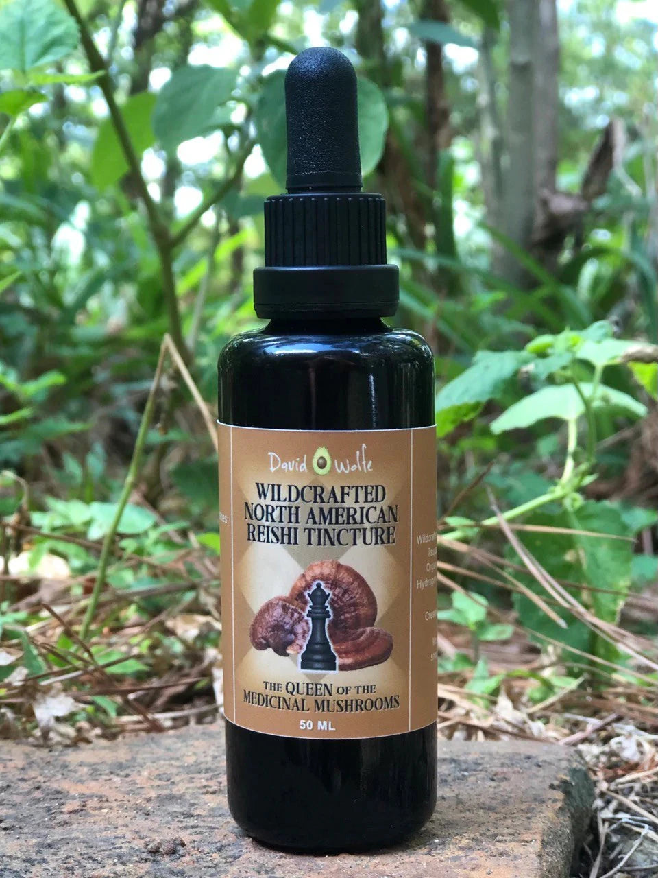 David Wolfe Wild Reishi Tincture | Triple-Extract Immune Adaptogen davidwolfe001