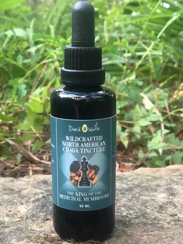 David Wolfe Chaga Tincture (50ml) | Wild Harvested Immune Support Extract davidwolfe001